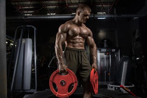Ecdysterone Explained: The 5 Biggest Benefits Revealed .